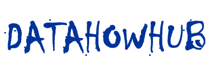 DataHowHub logo